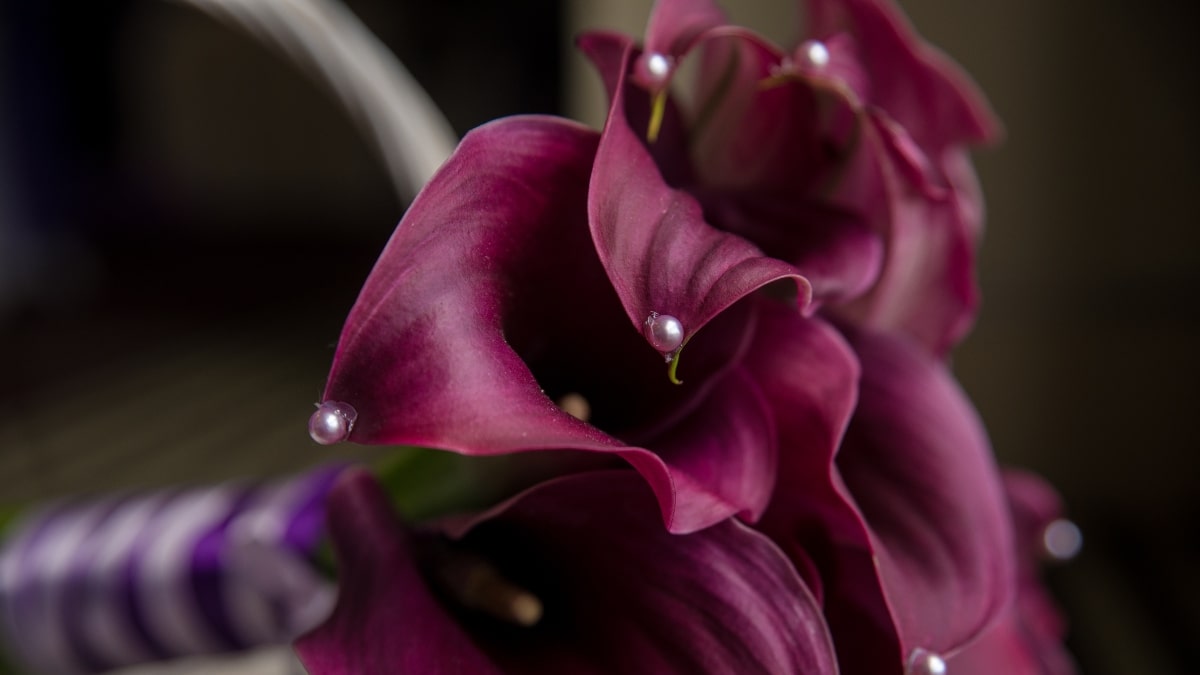 Wedding bouquet